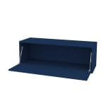 Cabinet With Folding Door