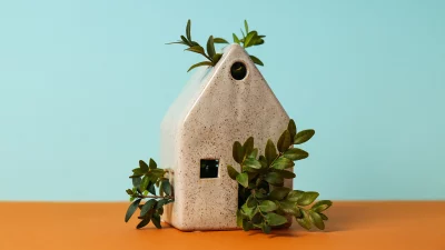 Giornata mondiale dell'ambiente Setup Italia